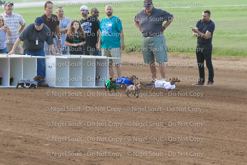 08-19-17 Wiener Dog Races-17