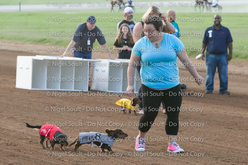 08-19-17 Wiener Dog Races-22