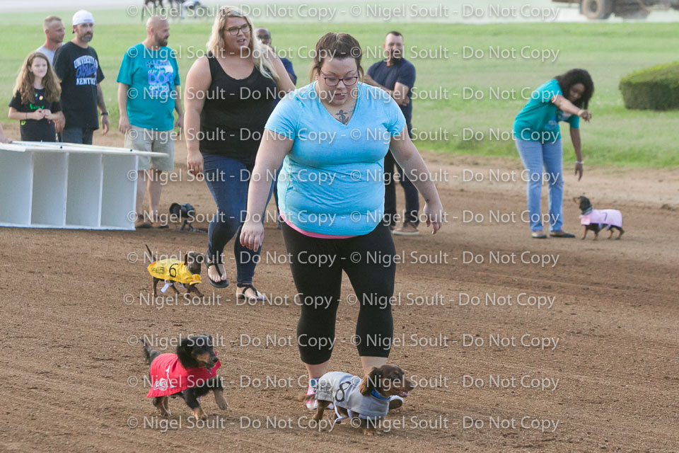 08-19-17 Wiener Dog Races-23