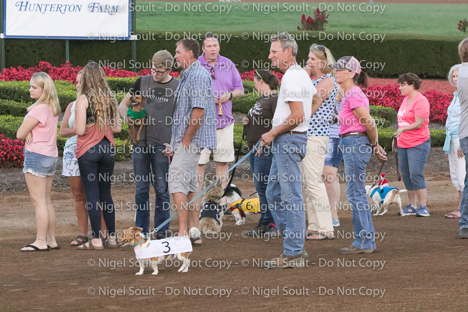 08-19-17 Wiener Dog Races-37