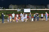 08-19-17-Wiener-Dog-Races-51.jpg