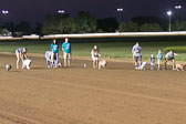 08-19-17-Wiener-Dog-Races-58.jpg