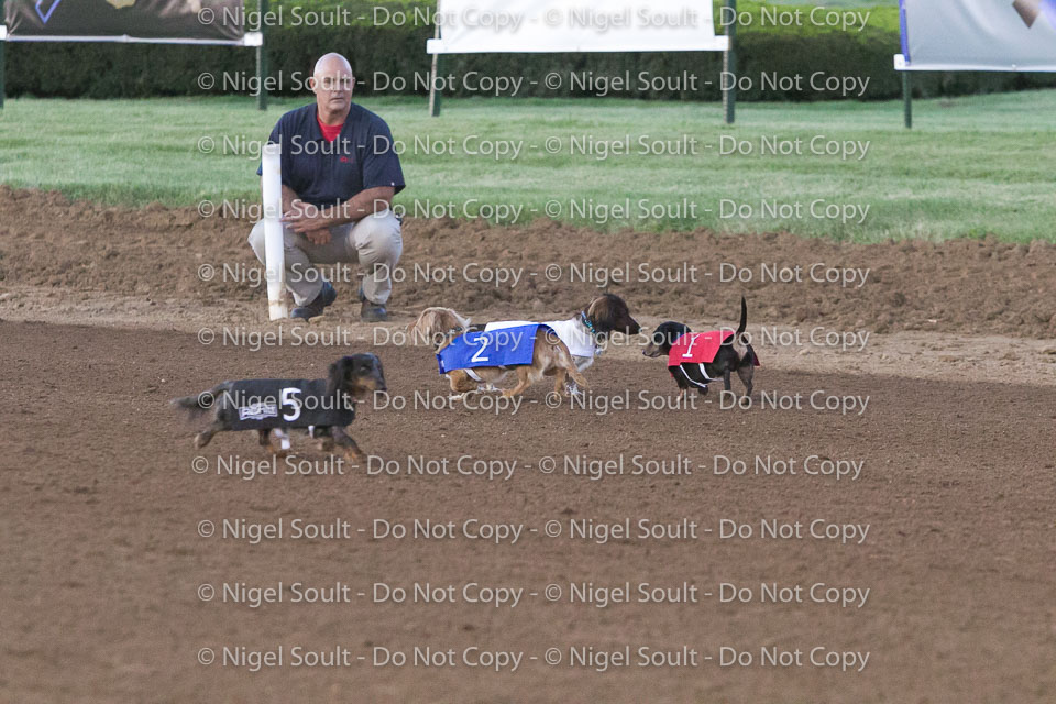 Weiner Dog Races 2018-179