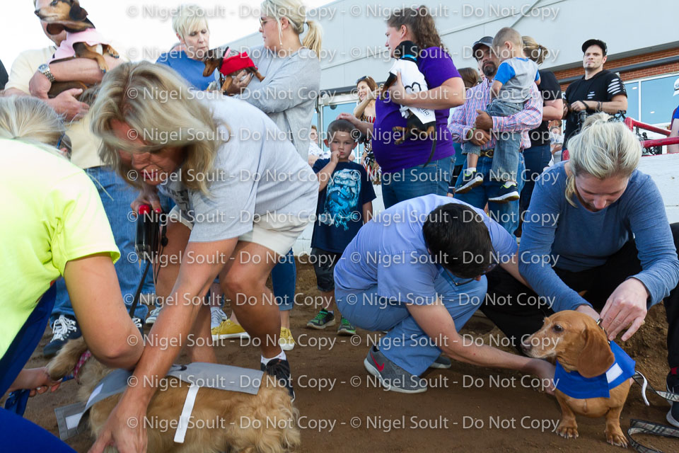 Weiner Dog Races 2018-24