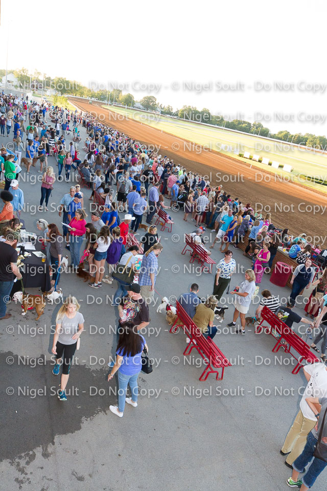 Weiner Dog Races 2018-27