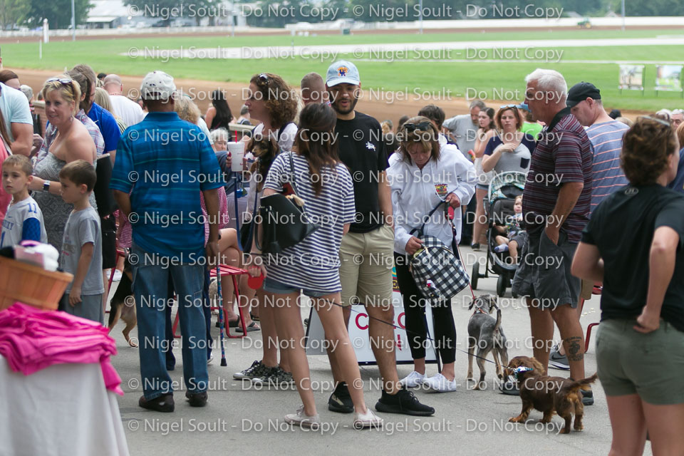 Weiner Dog Races 2018-3