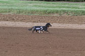 Weiner-Dog-Races-2018-183.jpg