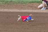 Weiner-Dog-Races-2018-186.jpg