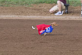 Weiner-Dog-Races-2018-187.jpg