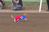 Weiner-Dog-Races-2018-190.jpg