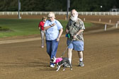 Weiner-Dog-Races-2018-208.jpg