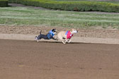 Weiner-Dog-Races-2018-218.jpg