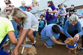 Weiner-Dog-Races-2018-24.jpg