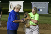 Weiner-Dog-Races-2018-246.jpg