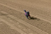 Weiner-Dog-Races-2018-269.jpg