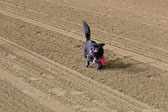 Weiner-Dog-Races-2018-272.jpg