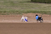 Weiner-Dog-Races-2018-320.jpg