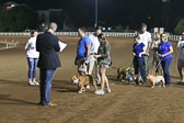 Weiner-Dog-Races-2018-323.jpg