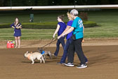 Weiner-Dog-Races-2018-332.jpg