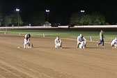 Weiner-Dog-Races-2018-343.jpg