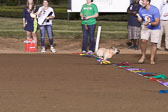 Weiner-Dog-Races-2018-355.jpg