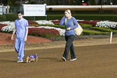 Weiner-Dog-Races-2018-399.jpg