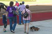 Weiner-Dog-Races-2018-77.jpg